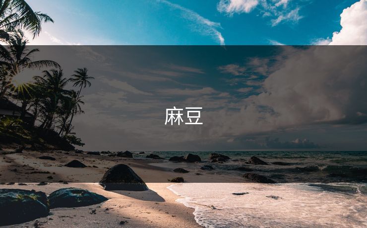 麻豆