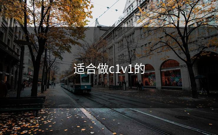 适合做c1v1的 适合做c1v1的