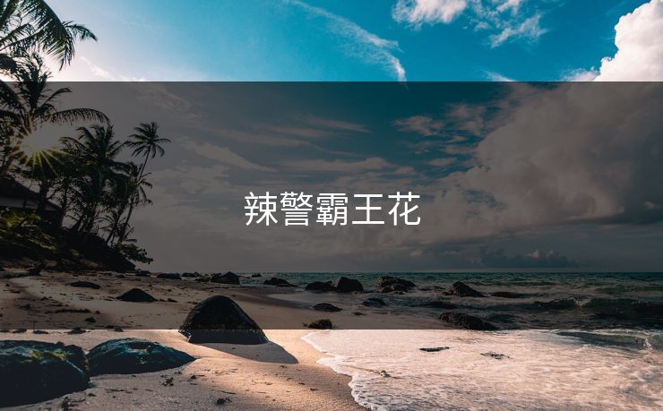 辣警霸王花